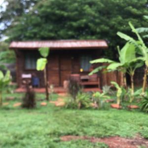 Los Bananos - Tiny Wood Cabin